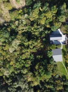 una vista sul tetto di una casa nella foresta di Cottages Family Estate a Kam"janec'-Podil's'kyj