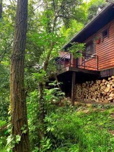 a log cabin with a deck and a pile of wood at Brvnare Platan - oaza prirode in Vrdnik