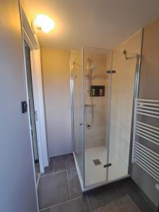 una doccia con porta in vetro in bagno di Chalets des prés-village 