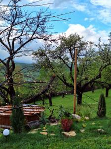 Сад в Zibran Cabane