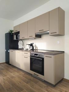 Кухня или мини-кухня в Morava apartmán 4 Uherské Hradiště Šafaříkova 855
