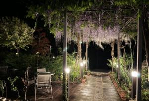 un giardino con glicine appeso a un pergolato di notte di Pension Lanpou a Fujikawaguchiko