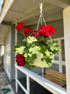 einen hängenden Blumentopf voller roter Blumen auf einer Veranda in der Unterkunft Leśna Przystań in Pobierowo