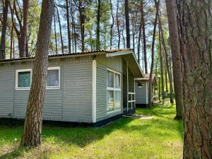 eine kleine grüne Hütte im Wald mit Bäumen in der Unterkunft Leśna Przystań in Pobierowo