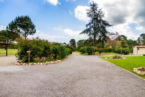 un vialetto di ghiaia con un albero in lontananza di Casale Lorenzo Appartamenti a Orbetello