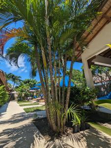 un gruppo di palme accanto a un resort di Indigo Bungalows a Gili Trawangan