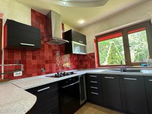 A kitchen or kitchenette at Cottage Zelman