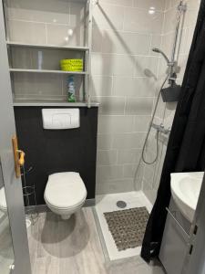 a small bathroom with a toilet and a sink at Apparemment cosy style savoyard in Bourg-Saint-Maurice