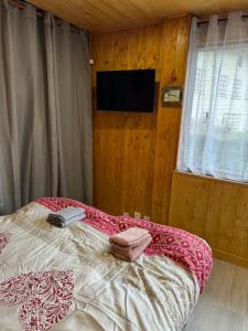 a bedroom with a bed with a tv on the wall at Apparemment cosy style savoyard in Bourg-Saint-Maurice