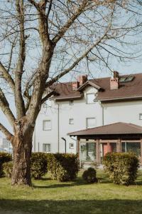 a large white house with a tree in the yard at Leo Hostel in Poznań