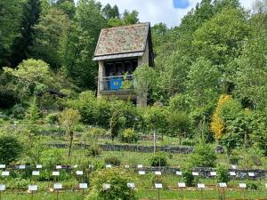 Jardí fora de La polse di San Pieri