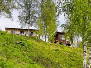 una casa en la cima de una colina con árboles en Obriyslavsko, en Slavske