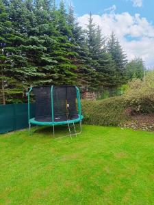 un trampolín azul sentado en el césped en un patio en Privát Majo, en Liptovský Mikuláš