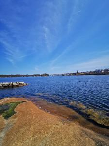 Bilde i galleriet til 181 Oceanside Inn i Peggy's Cove