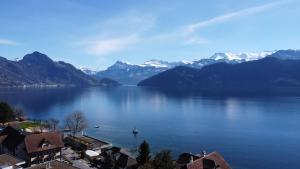 a view of a large body of water with mountains at Swiss Paradise Weggis in Weggis