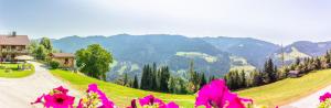 uma vista para uma montanha com flores cor-de-rosa no primeiro plano em Landhaus Hochkönig em Mühlbach am Hochkönig