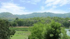 提喀迪Hill Green Homestay的一片树木和山脉的田野