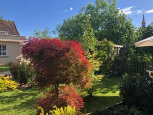 um jardim com uma árvore vermelha num quintal em Riverside Lodge em Chablis