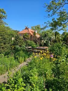 einen Garten mit gelben Blumen und einer Windmühle im Hintergrund in der Unterkunft Nidos Rojus in Nida