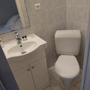 La salle de bains est pourvue de toilettes blanches et d'un lavabo. dans l'établissement Le Parc aux Huîtres, à Cayeux-sur-Mer