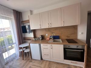 Kuhinja oz. manjša kuhinja v nastanitvi Apartamenty W Domu DeLux