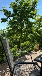 une chaise en métal assise devant un arbre dans l'établissement Ferienwohnung Pfalzblick, à Bacharach