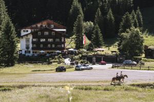 Animais no hotel ou nos arredores