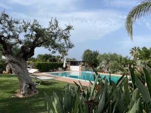 Piscina a Alla villa di Angelo o a prop