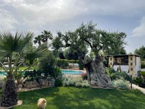 Piscina a Alla villa di Angelo o a prop