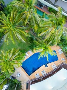 uma vista sobre uma piscina de resort com palmeiras em Hilton Garden Inn Darwin em Darwin