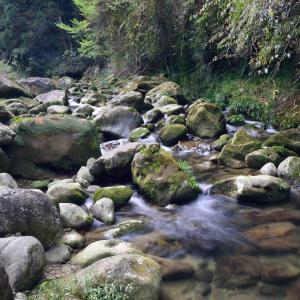 un ruisseau d'eau avec des rochers et des arbres dans l'établissement Odenwaldferien Zur Sattelkammer, à Schönbrunn