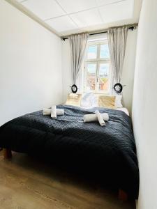 Cama ou camas em um quarto em SH-Apartments-Idylische FeWo Amenti, Wifi, Parken, zentral