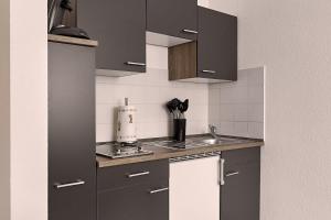 A kitchen or kitchenette at Harbour Prime Apartment Ettlingen Rheinstraße 40