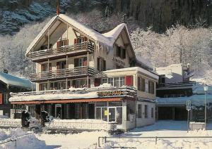 Hotel Restaurant Jungfrau冬天相片