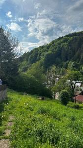 ein Feld mit grünem Gras und einem Berg im Hintergrund in der Unterkunft Haus am See in Biersdorf