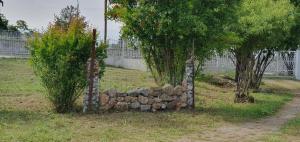 una cerca con un montón de rocas junto a dos árboles en Litochoro apartment in Estate A1, en Litóchoron