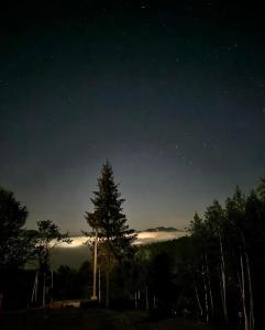 Una noche estrellada con un árbol en primer plano en Obriyslavsko, en Slavske