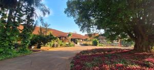 une rue dans une maison avec un arbre et des fleurs dans l'établissement Hotel Raices Esturion, à Puerto Iguazú