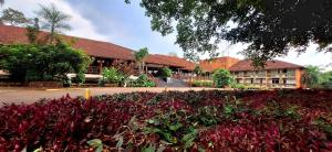 un groupe de fleurs devant un bâtiment dans l'établissement Hotel Raices Esturion, à Puerto Iguazú