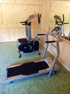 Gimnasio o equipamiento deportivo en Penzion Zelený Dom