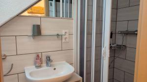 a small bathroom with a sink and a shower at Ferienwohnung Hammerwaldblick in Selb