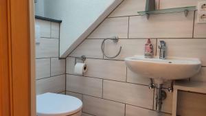 a bathroom with a sink and a toilet at Ferienwohnung Hammerwaldblick in Selb