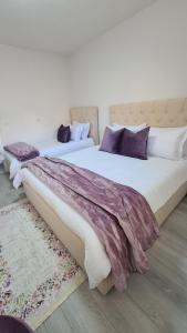 two beds in a bedroom with purple pillows and a rug at Dei Cozy Apartment in Shkodër