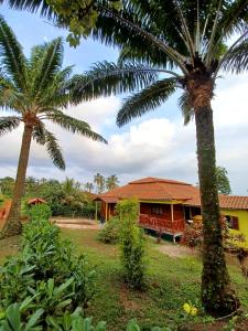 ein Haus mit Palmen davor in der Unterkunft Pousadinha Mar Ave Ilha in Principe