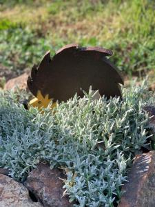 Um jardim em Mátrai Kisház