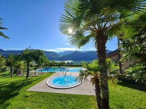 a palm tree next to a swimming pool at Pension Hasslhof in Caldaro