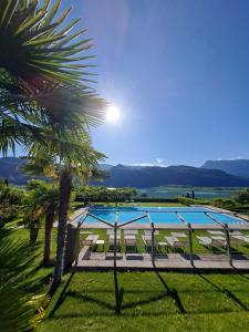 a view of a pool with chairs and a palm tree at Pension Hasslhof in Caldaro