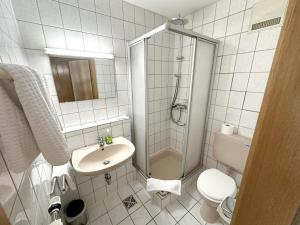 La salle de bains est pourvue d'une douche, d'un lavabo et de toilettes. dans l'établissement Hotel DenRiKo, à Heidelberg