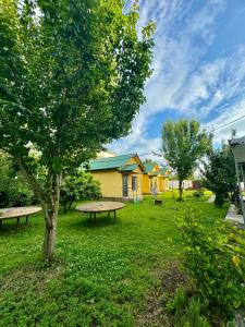 un parco con due panchine e un albero di Senima's paradise a Batumi