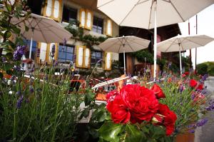 un jardín con flores y sombrillas frente a un edificio en BnB Belle5, en Bellerive